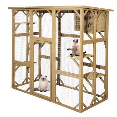 Wayfair catio clearance